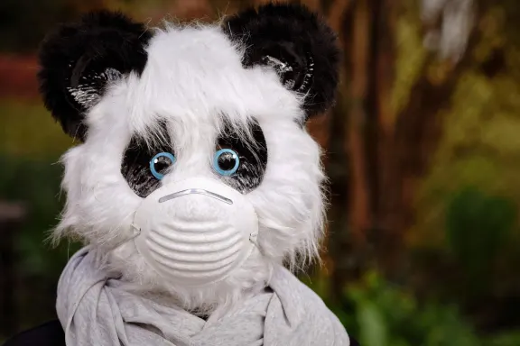 Kasino of Dreams Sokongan